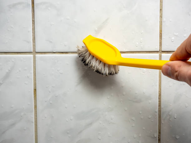 Professional Mold Removal in Camden, DE