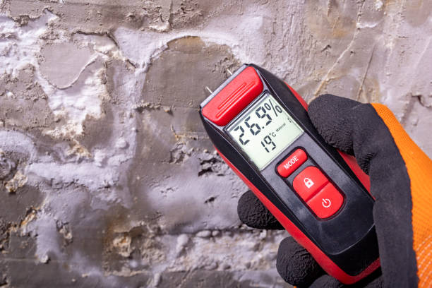 Mold Removal Process in Camden, DE