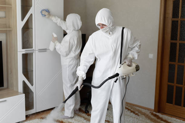 Certified Mold Removal in Camden, DE