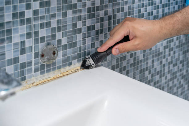 Best Mold Cleaning Services  in Camn, DE